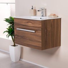 a bathroom with a sink, mirror and potted plant