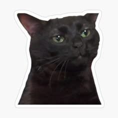 a black cat with green eyes sticker