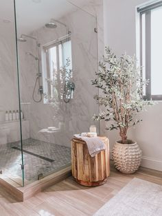 a bathroom with a tree in the corner and a glass shower door on the side