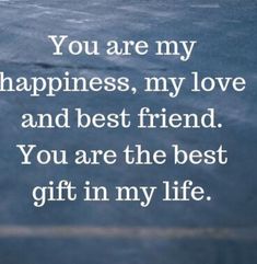 the words you are my happiness, my love and best friend you are the best gift in my life