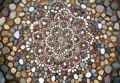 a circular design made out of rocks and stones on the ground with pebbles in it