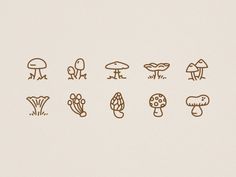 the different types of mushrooms are drawn in brown ink on a white background, and each mushroom has an individual's own outline