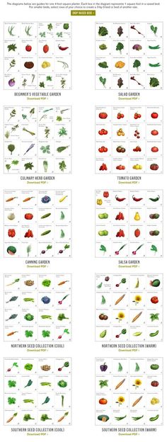 the different types of vegetables and their names