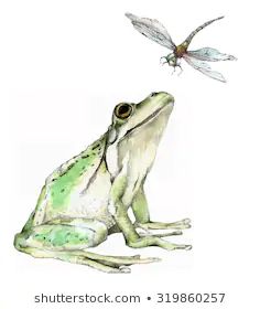 a green frog sitting next to a flying insect