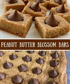 peanut butter blossom bars in a baking pan and then topped with chocolate chips on top