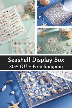 seashell display box with 30 % off + free shipping from the seahorse shop