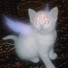 a white cat with glowing eyes sitting on top of a carpet next to an angel wing