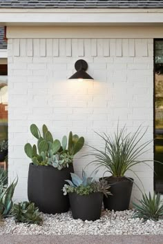 some plants that are sitting in front of a white brick wall and light on the side