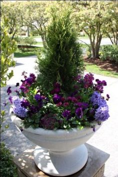 a large white planter filled with lots of purple flowers