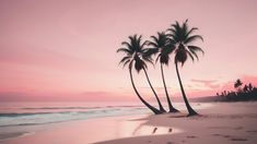 three palm trees on the beach with pink sky and ocean in the background at sunset