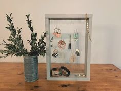 a potted plant sitting on top of a wooden table next to a display case