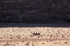 three people riding camels in the desert with mountains in the background and sparse grass on the ground