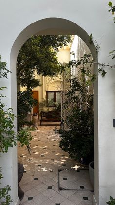 an archway leading to a patio with potted plants on either side and a cat sitting in the distance