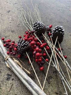 pine cones and berries are on the ground next to some sticks with needles in them