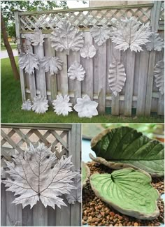 some white leaves are hanging on the fence and in front of it is a green leaf