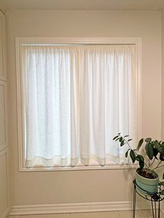 a potted plant sits in front of a window with white drapes on the windowsill