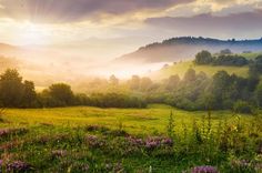 the sun shines brightly through the clouds over a green field with wildflowers