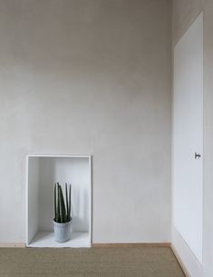 an empty room with a potted plant in the corner