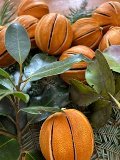 some oranges that are sitting on top of leaves and plants in a basket with green leaves