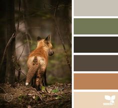 a red fox standing in the woods next to some trees and leaves with color swatches