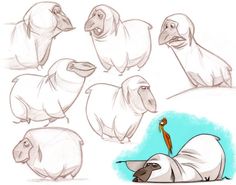 some drawings of different types of animals