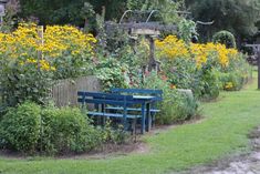 there is a blue bench in the middle of this garden