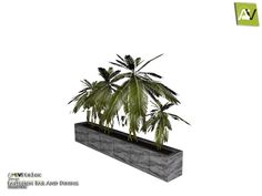 an image of a planter with palm trees in it