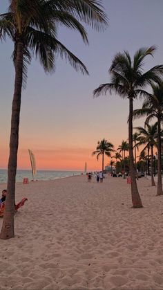 palm trees line the beach at sunset with people sitting on lounge chairs in the foreground