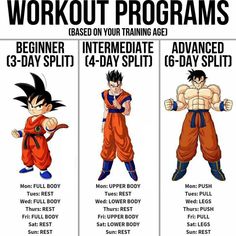 three different types of workout programs for the dragon ball fighter, and how to use them