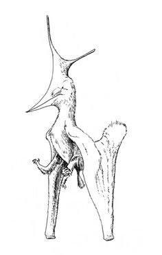 a drawing of a bird sitting on top of a tree branch with its beak open