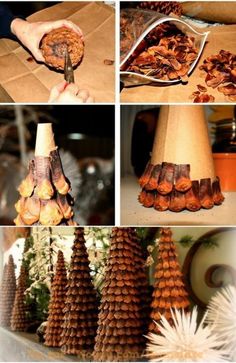 the process of making pine cones is shown