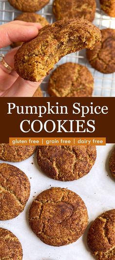 pumpkin spice snickerdoodles gluen free and grain free dairy free