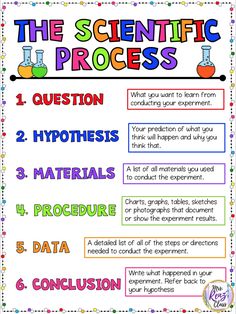 the scientific process poster is shown with information for students to use on their own project