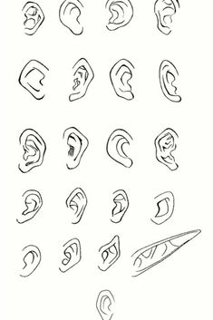 various types of ear shapes drawn by hand