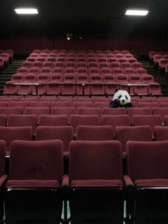 a panda bear is sitting in the middle of an empty auditorium with rows of red chairs