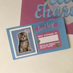 a cat is sitting on top of a postcard