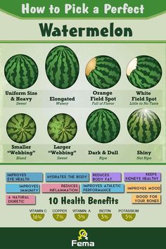 how to pick a perfect watermelon info graphic by fema on flickr