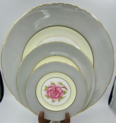 a set of five plates with pink roses on them