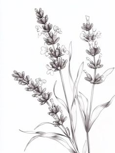 a drawing of some flowers on a white background