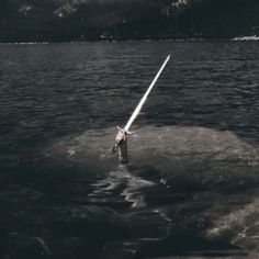 a person is in the water with a long white pole attached to their back end