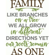 the family like branches on a tree we all grow in different directions yet our roots remain as one