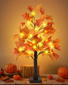 a lighted tree with leaves and pumpkins around it