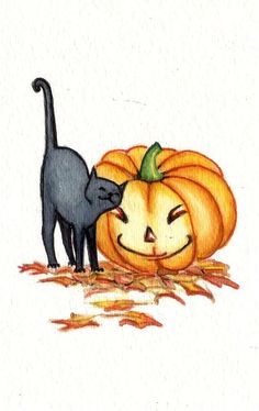 a drawing of a cat and a pumpkin