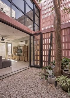 an open living room with lots of windows on the wall and plants growing in pots