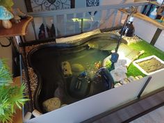 Indoor turtle habitat Kiddie Pool Turtle Habitat, Diy Fish Hideout, Red Eared Slider Turtle Habitat, Box Turtle Habitat, Turtle Tanks, Red Eared Slider Turtle