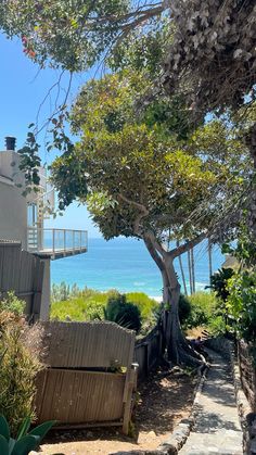 a path leading to the beach with trees on both sides