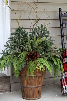 a potted plant sitting on top of a porch