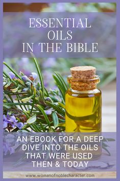 Biblical Oils, Oils Of The Bible, Bible Journal Prompts, Gifts From God, Heal Leaky Gut, Healing Essential Oils, Now Oils