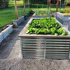 an outdoor garden with lots of plants growing in the ground and raised beds on each side