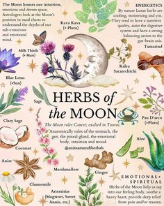 Aries Full Moon, Sage Herb, Witch Spirituality